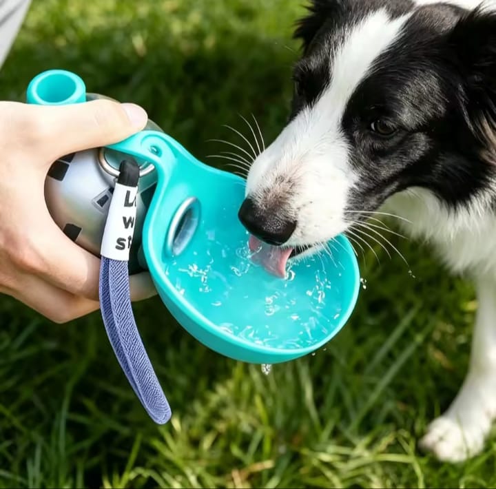 Gourde de voyage en inox pour Chien