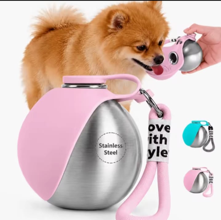 Gourde de voyage en inox pour Chien